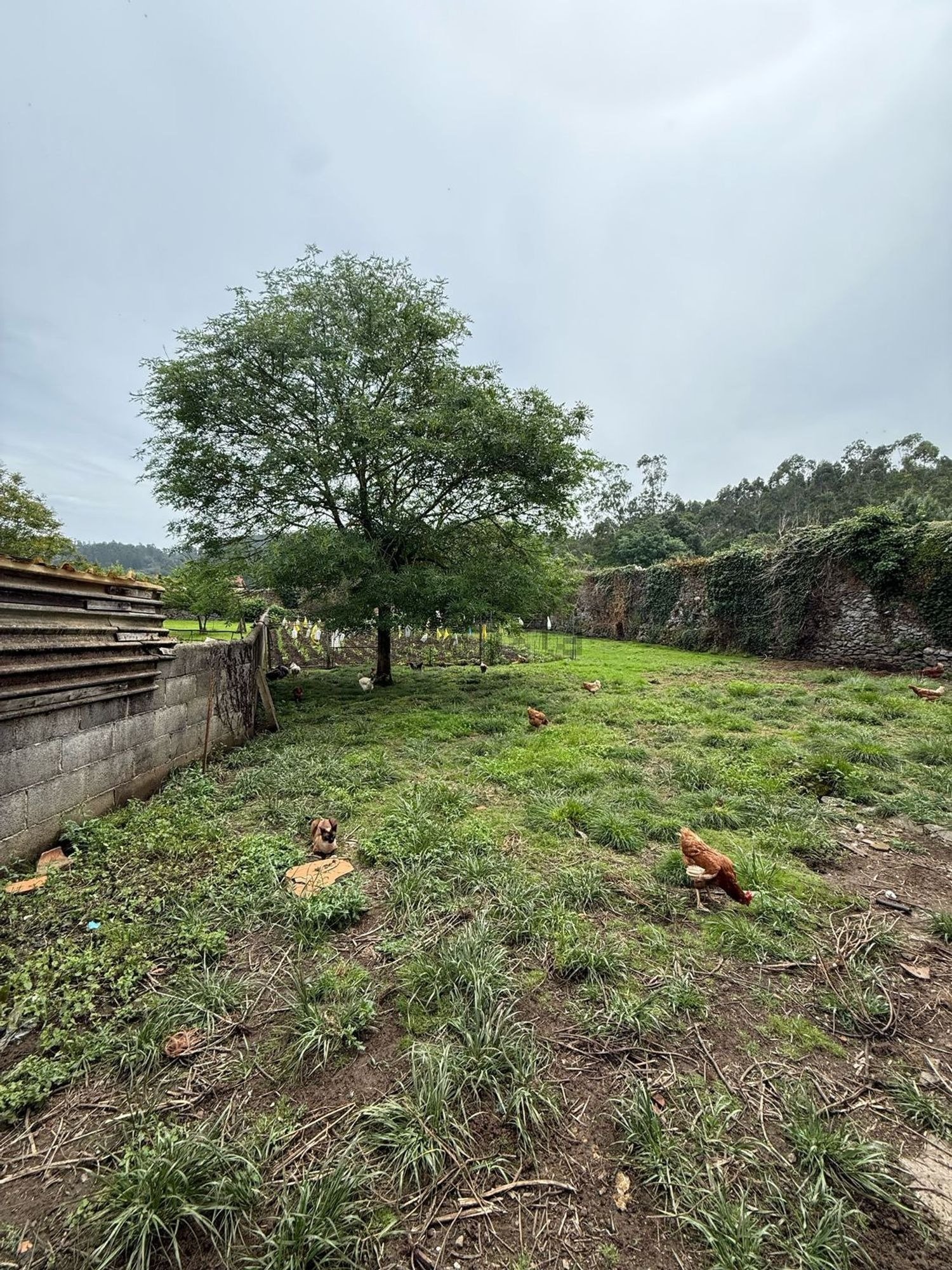 imgi_40_1347425409